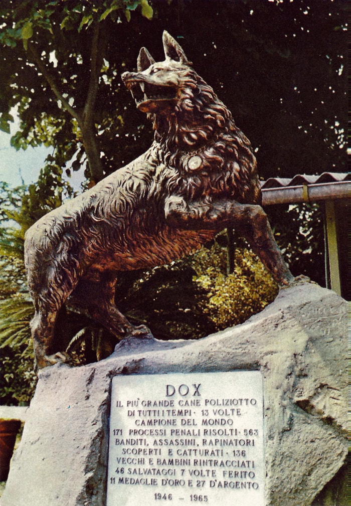 Dox vom Coburger Land und Giovanni Maimone: Die wahre Legende eines Deutschen Schäferhundes