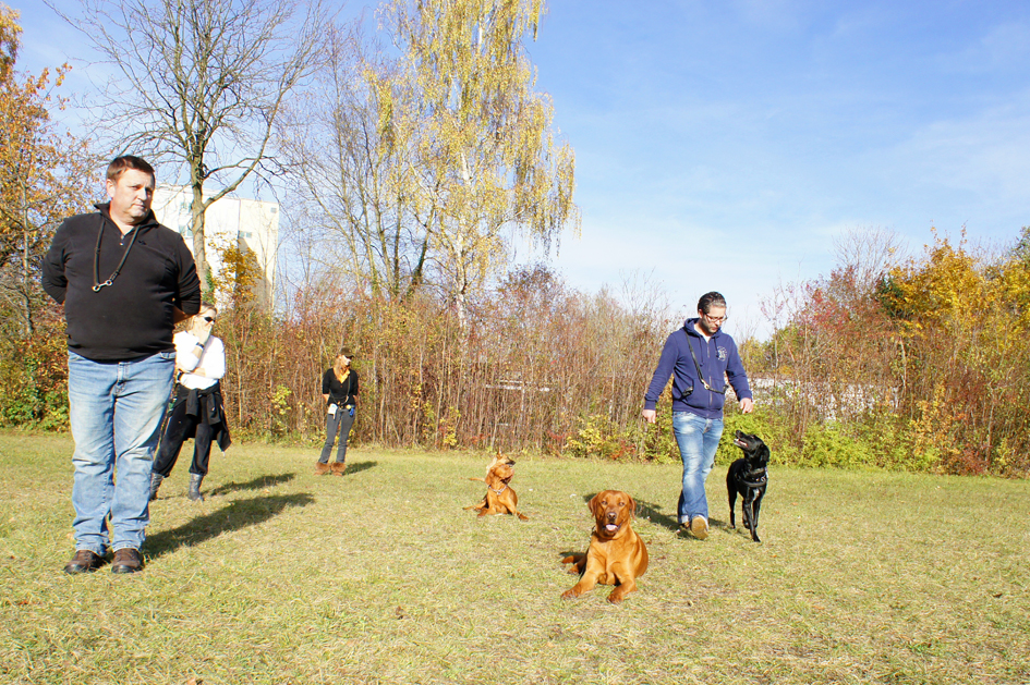 Hundeschule München: Begleithundeausbildung